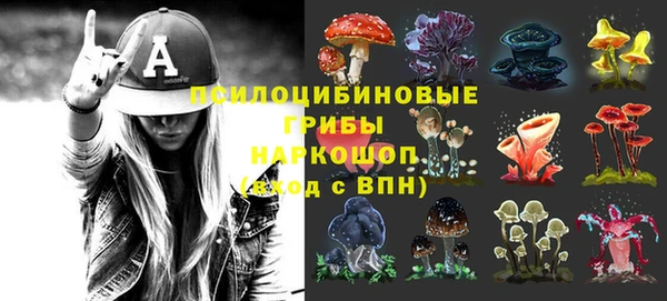 крисы Балахна